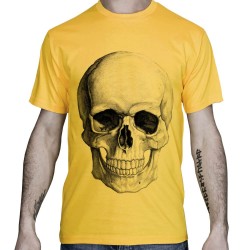 skull-anatomic-tee-shirt